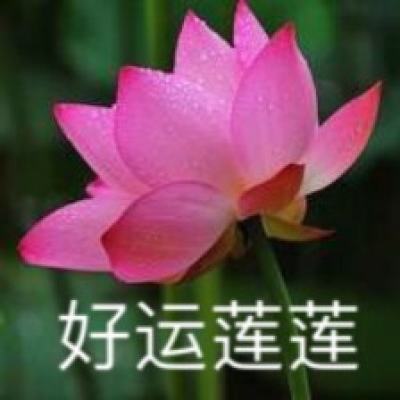 澳门社会各界踊跃捐款支援甘肃青海地震灾区